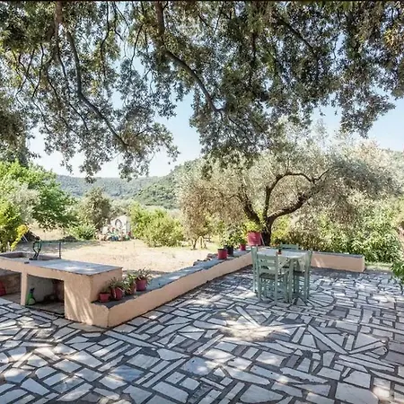Aria Stafylos