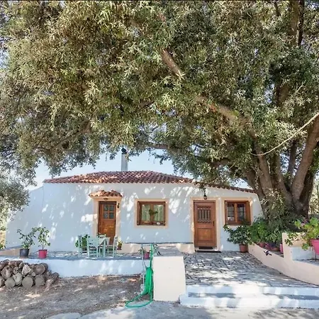 Aria Daire Stafylos